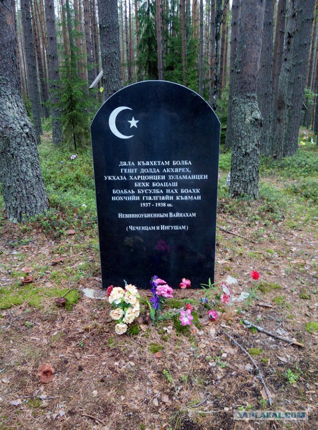 Сезон 2015 в Карелии