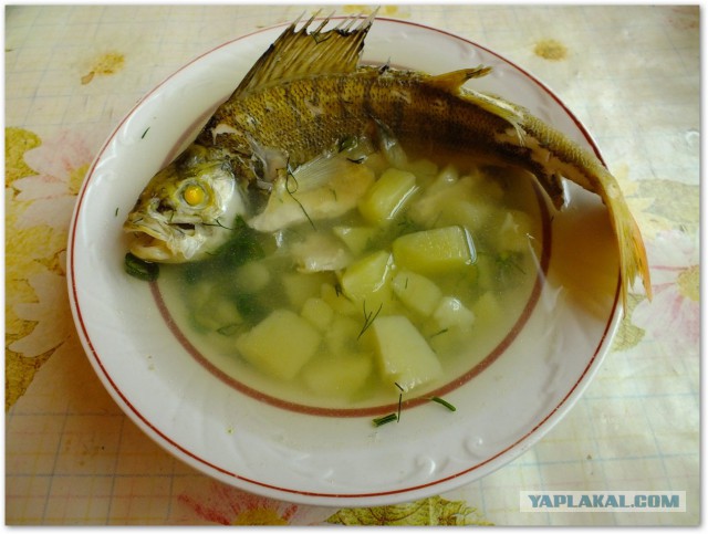 Аццкая кухня 2  (кулинарный адъ)