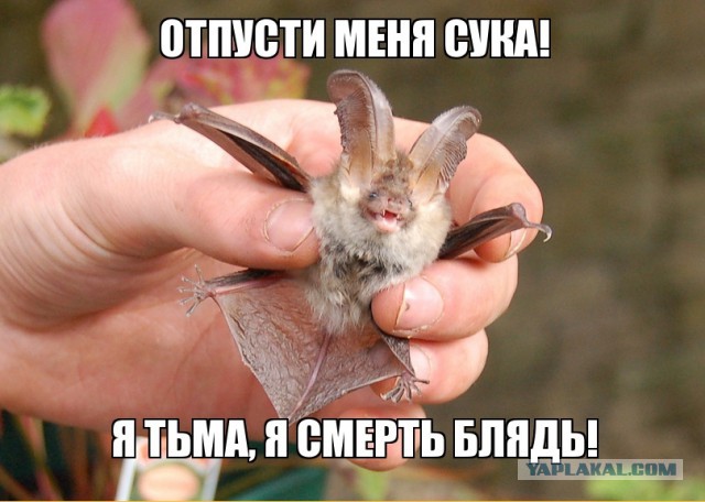 Агрессия на дороге