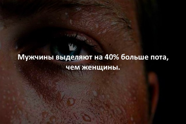 44 интересных факта в картинках. Продолжение