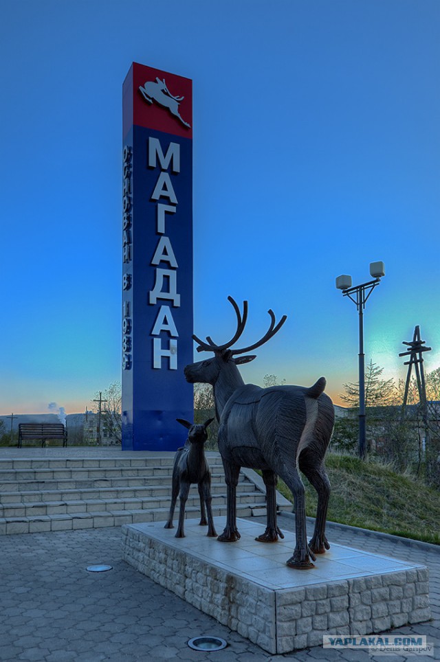 Стелла магадан
