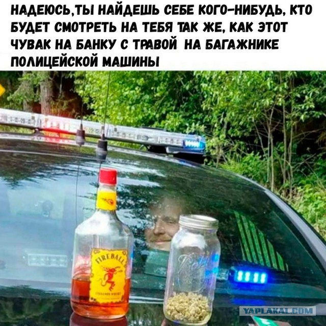 Экспериментальный чёрный юмор