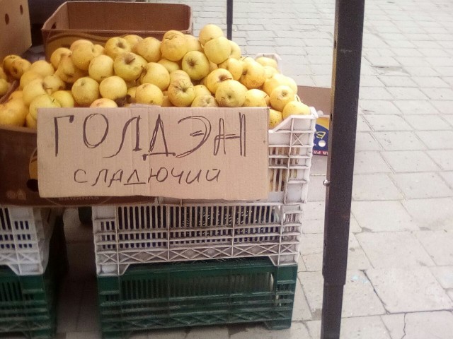 Прикольные надписи и объявления