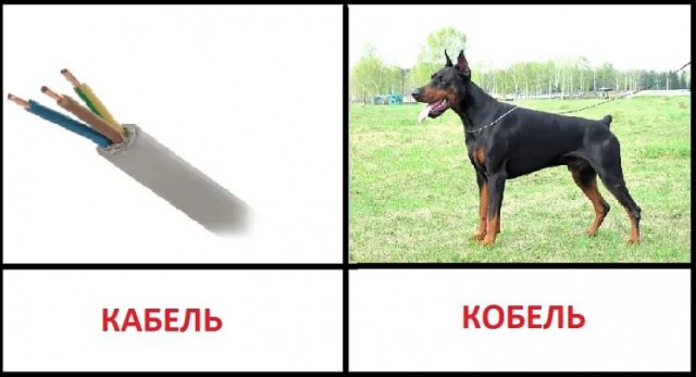 Педофильная истерия