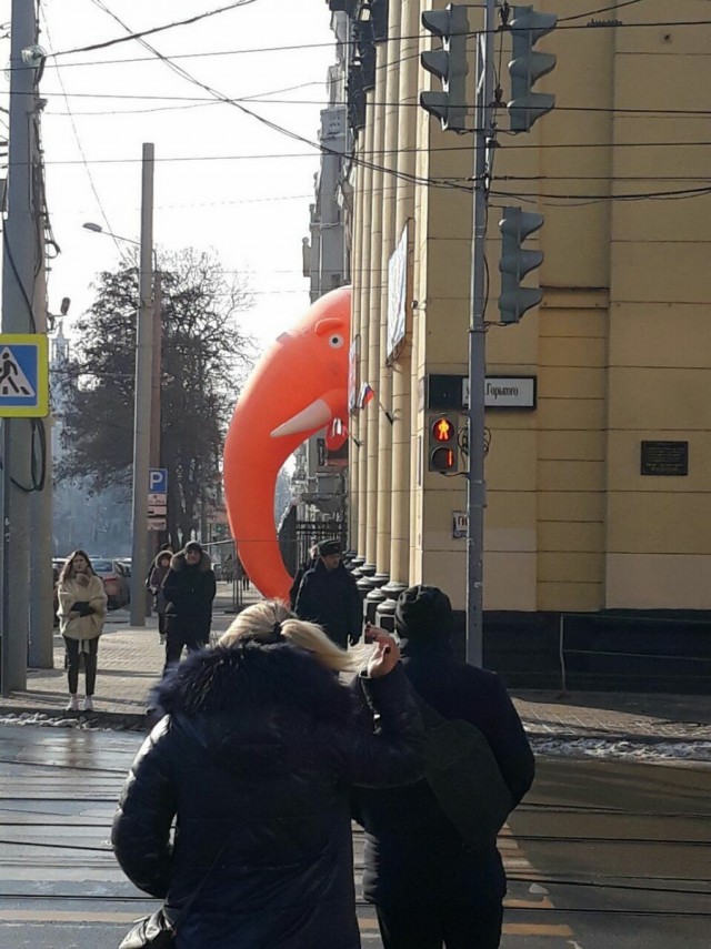 Подборка интересных и веселых картинок