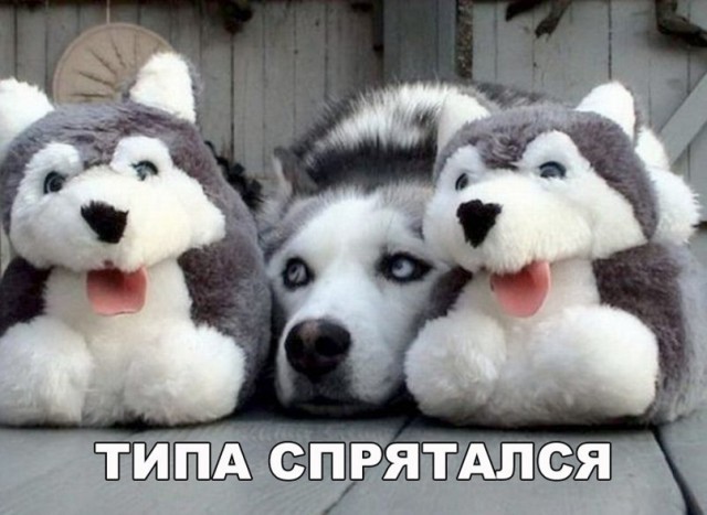 Нестандартный юмор