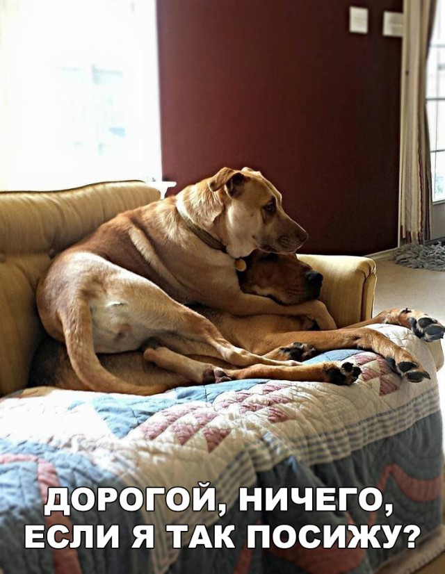 Нестандартный юмор
