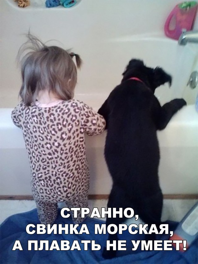 Нестандартный юмор