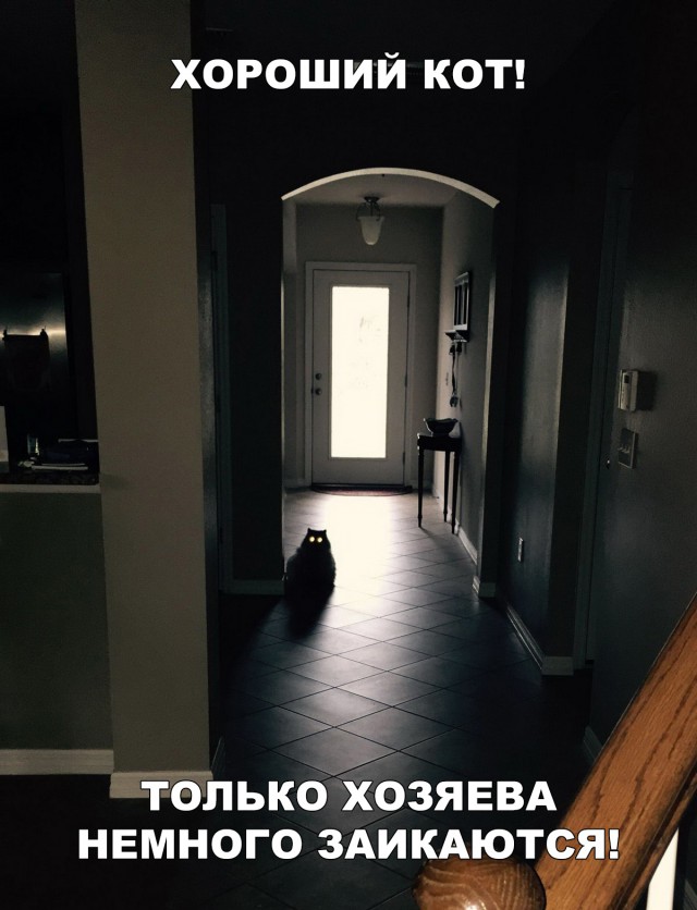 Немного милоты
