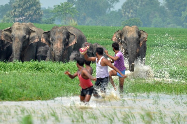 Подборка интересных и веселых картинок 01.04.19