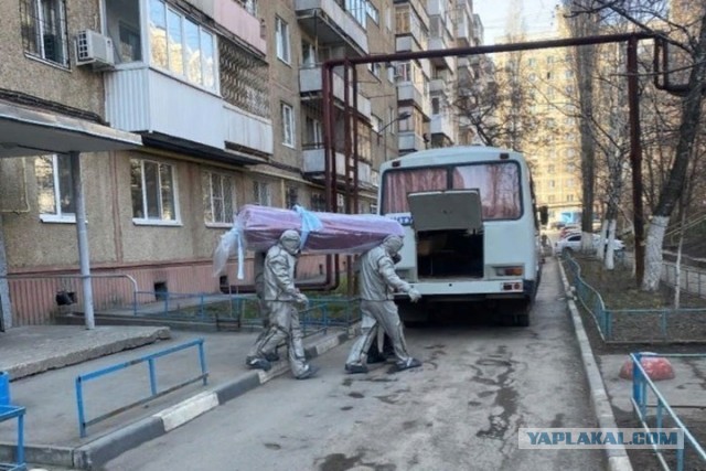 Пандемия. Коронавирус. Россия и мир. Последняя информация. Часть 12