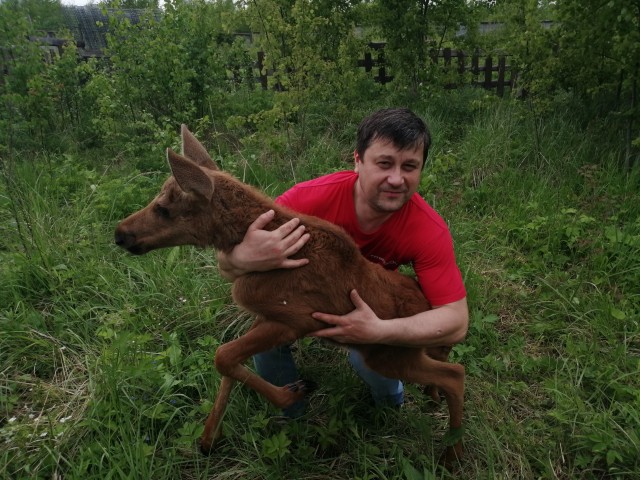 Сходил вынести мусор....