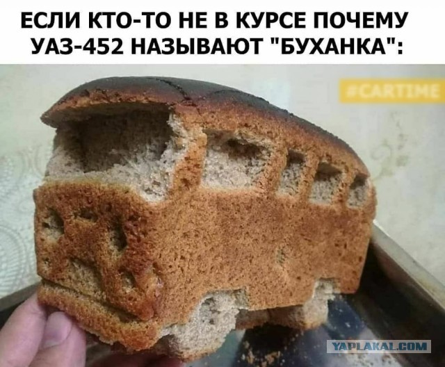Перлы 08.06.20.