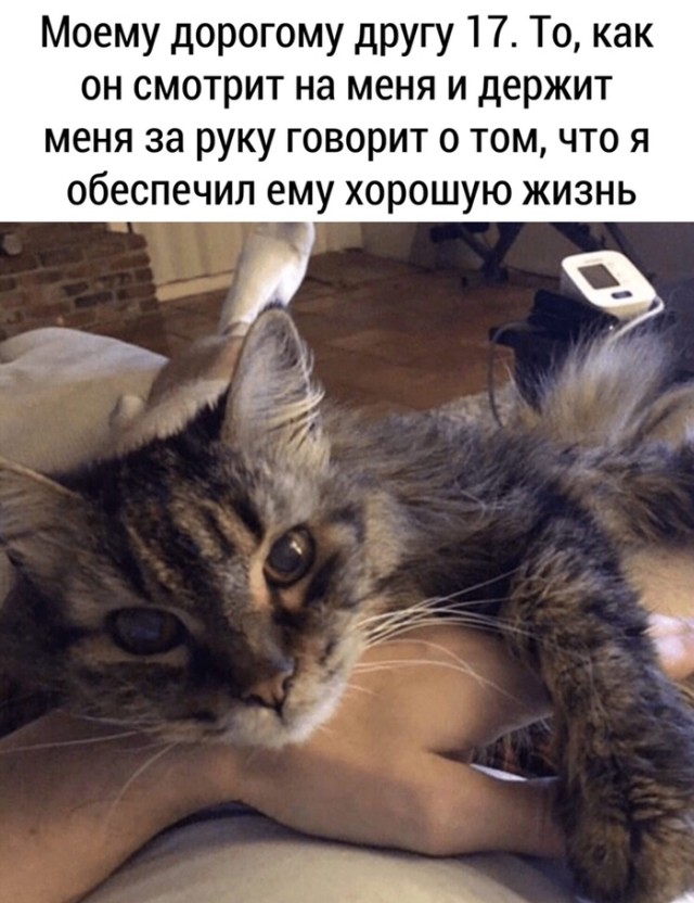 Немного картинок для настроения 99