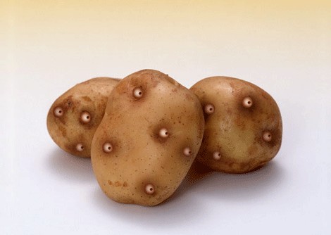 прикольные продукты