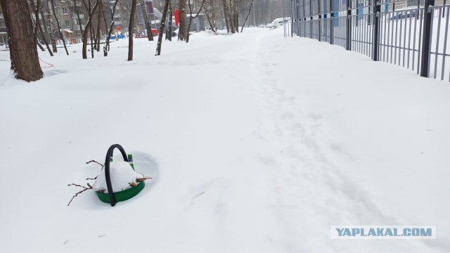Бедные москвичи