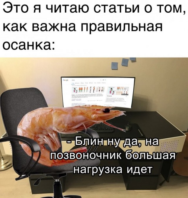 Картинки и мемы для настроения 018