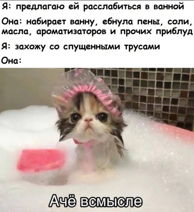 Забавные пошлости