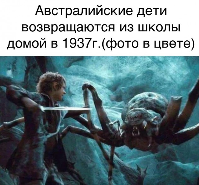 Весёлый полтишок 18.06