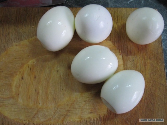 Легкие закусочки, скоро начало сезона!