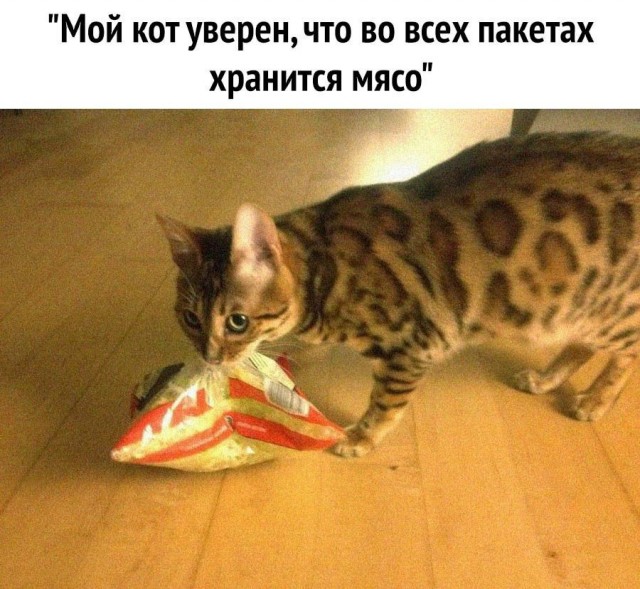 Кретинизмы из сети 20.07.21