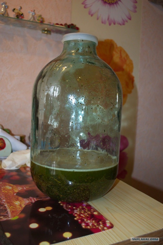 Про водку, горилку, самогон!