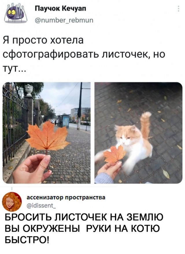 Так себе картинки 19.10.21