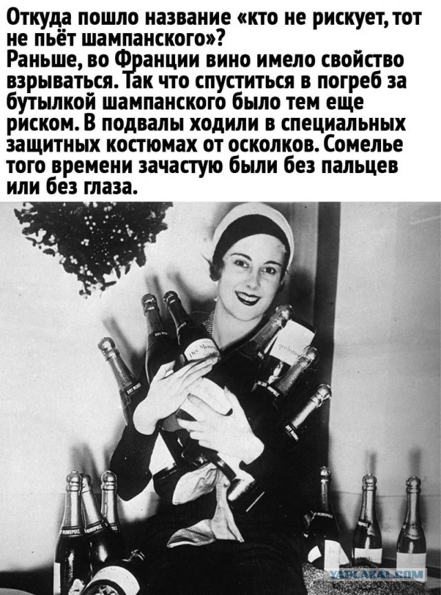 Свинегрет: картинки, надписи и прочее "на", №33