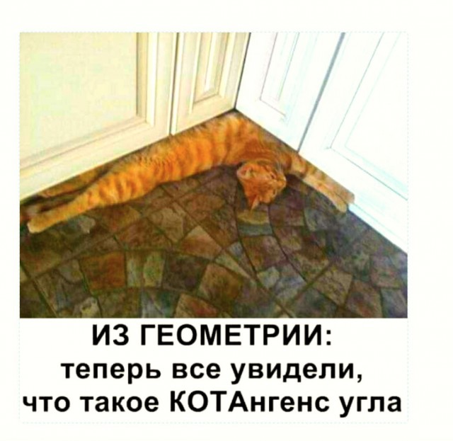 Так себе картинки 24.02.22