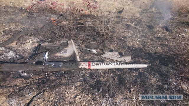 Самая музыкальная нация в мире
