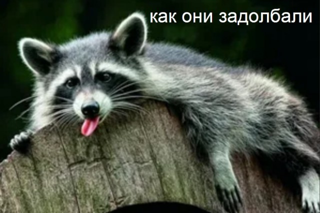 Пандемия. Коронавирус и съехавшие крыши. Россия и мир. Часть 31.