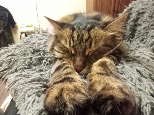 Ну, поехали в котоввторник!