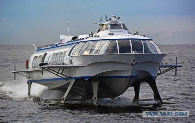 Где метеоры, растак вашу совесть?