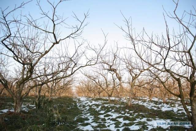 НЕтуристическая Корея