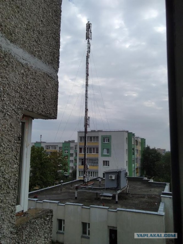Пермяки спасаются от вышек Tele2