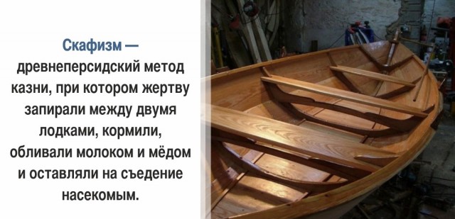 30 суровых фактов, которые пугают больше, чем фильмы ужасов