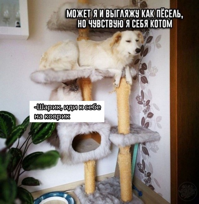 Так себе картинки 27.11.22