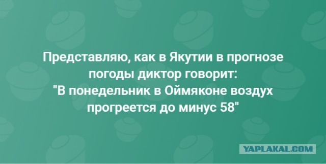 Нетипичный Ташкент. Снег и мороз