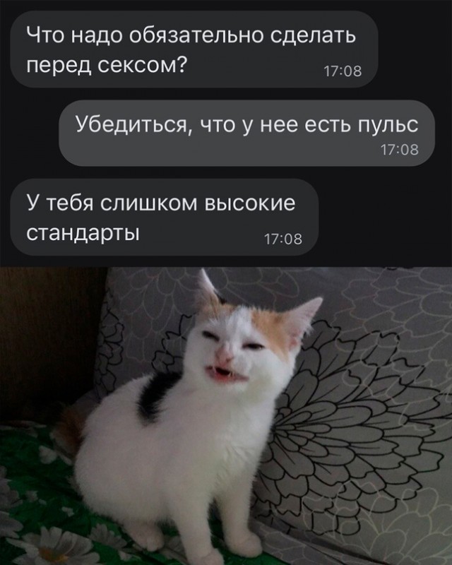 Картинки и мемы, всем хороших выходных