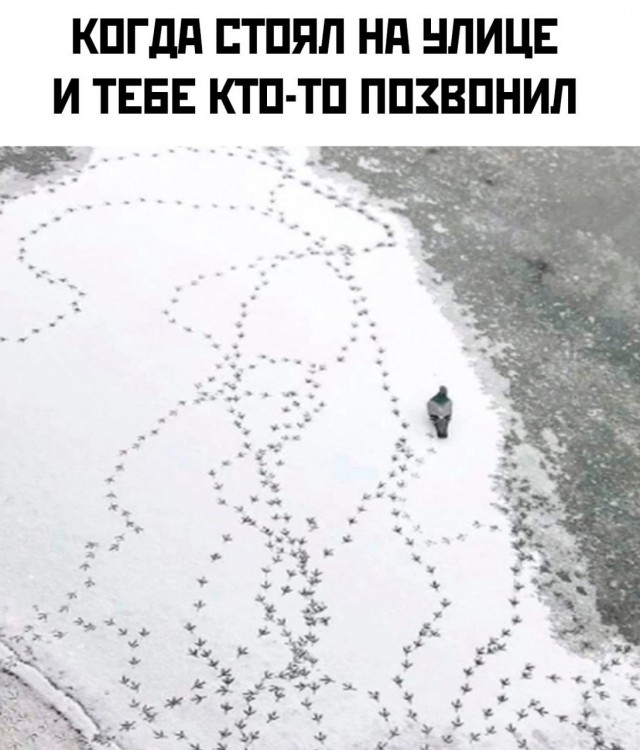 Так себе картинки 18.01.23