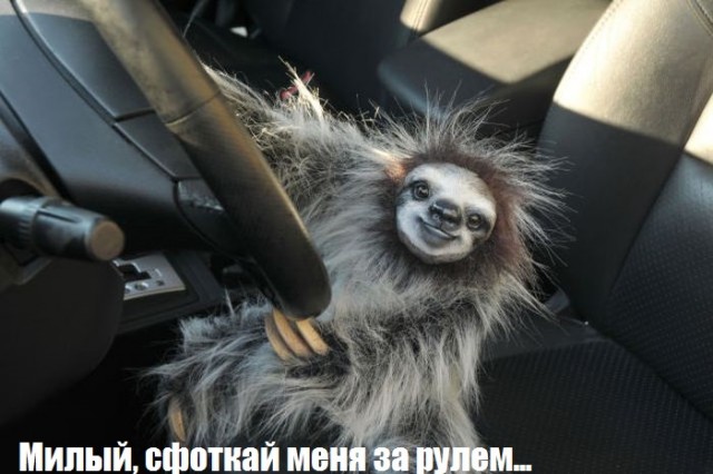 Что это было?