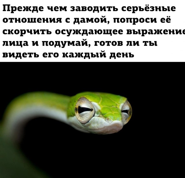 Нуштош 08.03.23