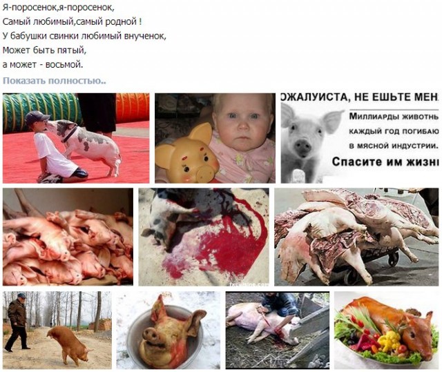 Животные добрые, они помогают друг другу