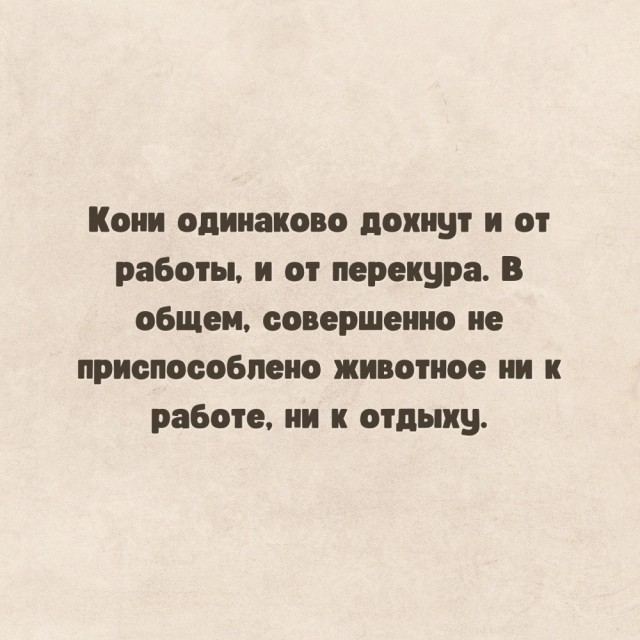 Так себе картинки 17.08.23