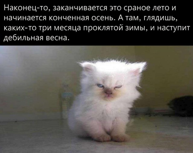 Весёлый полтишок 03.09.23