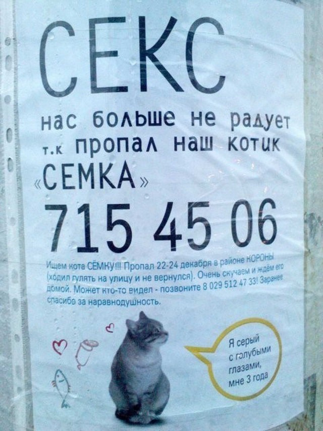 Баяны и не совсем. Понедельничное