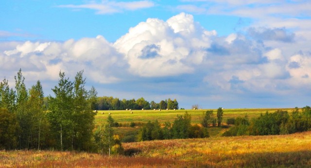 Краски осени