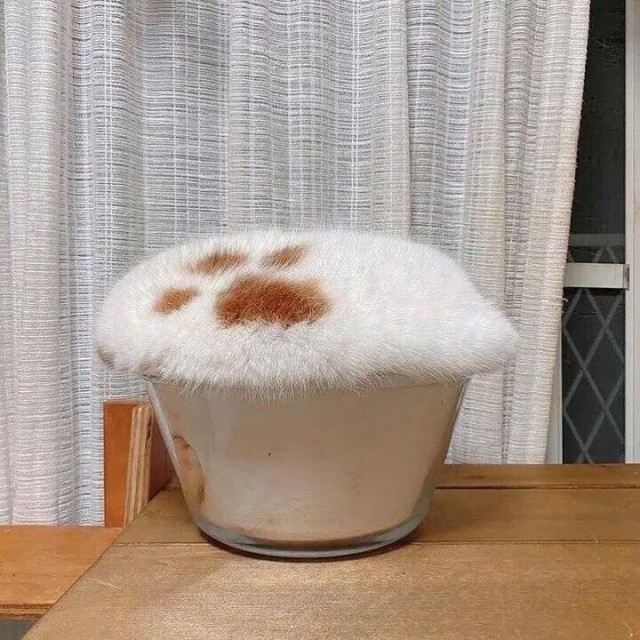 Рыжая КОТлетка