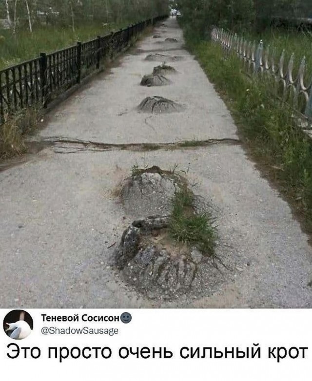ТЛидцать тЛи от 5 апЛеля
