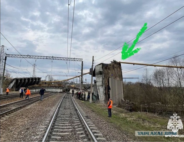 Погибшая во время обрушения Панинского моста женщина ехала за ребёнком в детский сад.